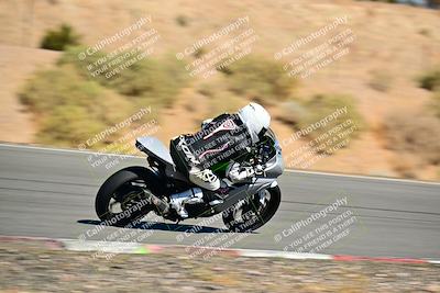 media/Oct-24-2025-2WTD (Fri) [[491f36c2bf]]/C Group/Session 4 (Turn 7)/